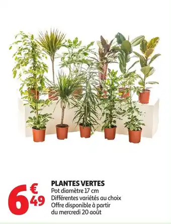 Auchan Plantes vertes offre