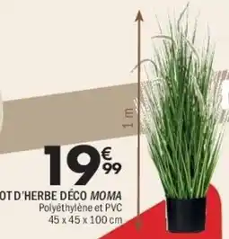 La Foir'Fouille Pot d'herbe déco moma offre