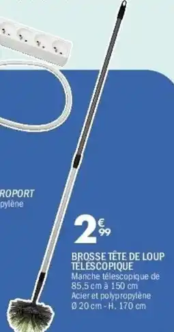 La Foir'Fouille Brosse tête de loup téléscopique offre