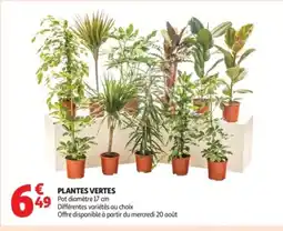 Auchan Supermarché Plantes vertes offre