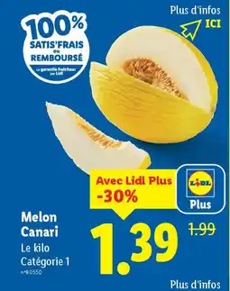 Lidl Melon Canari offre