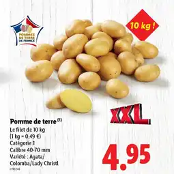 Lidl Pomme de terre offre