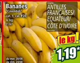 Norma Bananes Cavendish offre