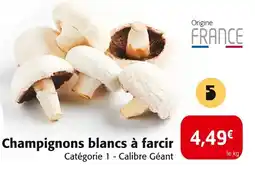 Colruyt Champignons blancs à farcir offre
