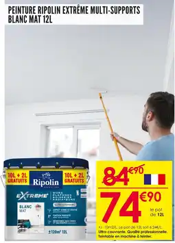 Décor Discount Ripolin Peinture extrême multi-supports blanc mat 12L offre