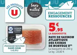Bi1 Pave de saumon atlantique des fjords de norvege u offre