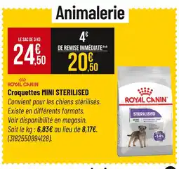 Bricorama Royal Canin Croquettes mini sterilised offre