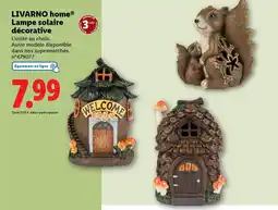 Lidl LIVARNO HOME Lampe solaire décorative offre