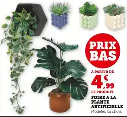 Super U Foire a la plante artificielle offre