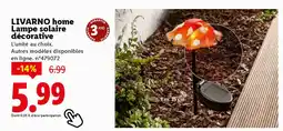 Lidl LIVARNO HOME Lampe solaire décorative offre