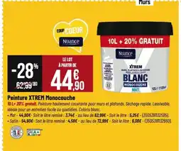 Tridôme XTREM Peinture Monocouche offre
