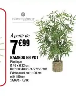 La Foir'Fouille Bambou en pot offre