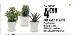 La Foir'Fouille Pot avec plante offre