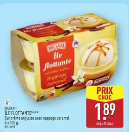 ALDI MILSANI Île flottante offre