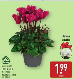 ALDI GARDENLINE Cyclamen offre