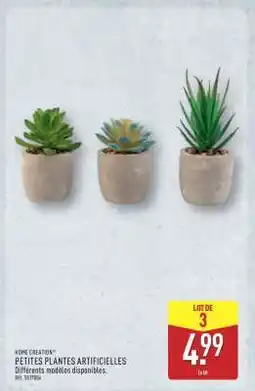 ALDI Petites plantes artificielles offre