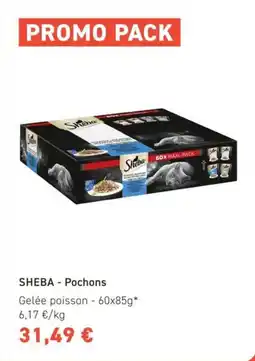Tom&Co Sheba offre