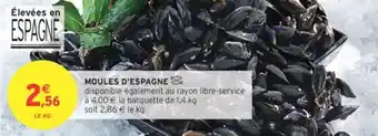 Intermarché Moules d'espagne offre