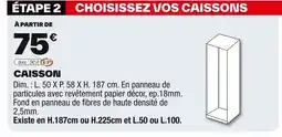Brico Dépôt Caisson offre