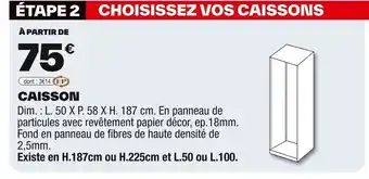 Brico Dépôt Caisson offre