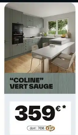Brico Dépôt Coline vert sauge offre