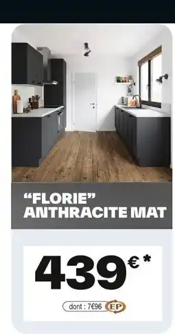 Brico Dépôt Florie anthracite mat offre