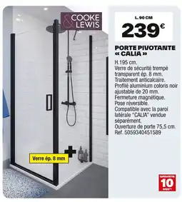 Brico Dépôt Porte pivotante calia offre