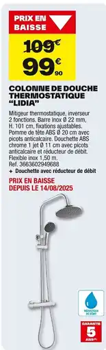 Brico Dépôt Colonne de douche thermostatique offre