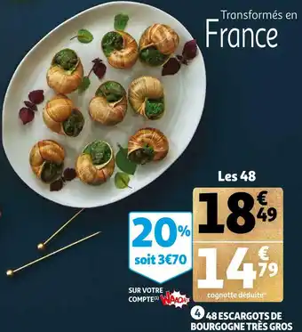 Auchan 48 escargots de bourgogne très gros offre