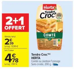 Carrefour Tendre croc(o) HERTA offre