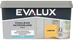 Brico Dépôt Peinture couleur 2.5 l haute resistance offre