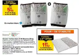 Castorama BLOOMA Gravier marbre blanc 8-16 25 kg offre