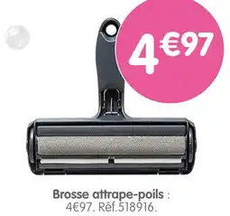 b&m Brosse attrape-poils offre
