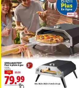 Lidl GRILLMASTER Four à pizza à gaz offre