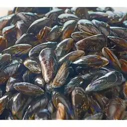 Carrefour FILIERE QUALITE CARF Moules de bouchot S.T.G FILIÈRE QUALITÉ CARREFOUR offre