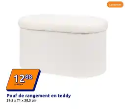 Action Pouf de rangement en teddy offre