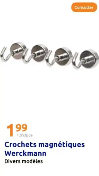 Action WERCKMANN Crochets magnétiques offre