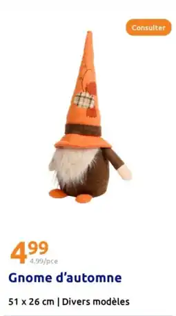 Action Gnome d'automne offre