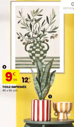 Stokomani Plante verte offre