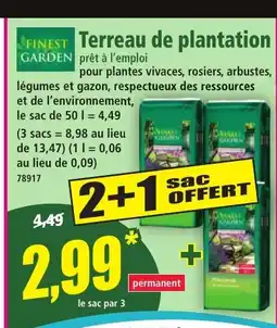 Norma Terreaude plantation offre