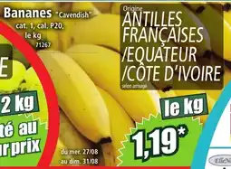 Norma Bananes offre