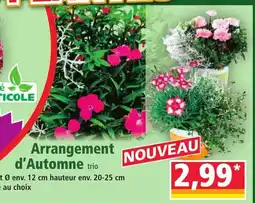 Norma Arrangement d'Automne offre