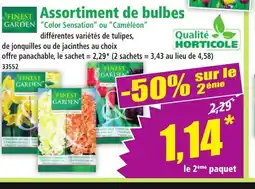 Norma Assortiment de bulbes offre