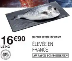 Monop' Dorade royale 300/600 offre