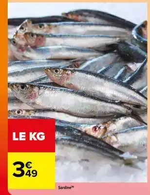 Carrefour SARDINE offre