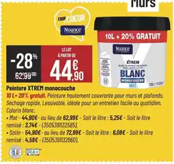Bricorama Peinture XTREM monocouche offre