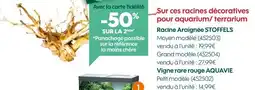 Truffaut STOFFELS Racine Araignée offre