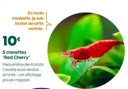 Truffaut 5 crevettes 'Red Cherry' offre