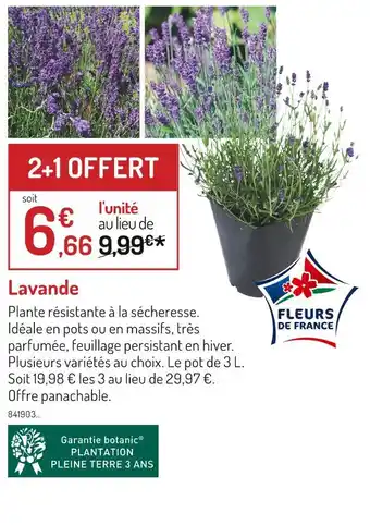 Botanic Lavande offre