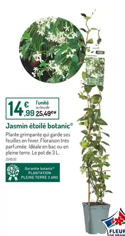 Botanic botanic Jasmin étoilé offre